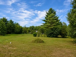 34602142