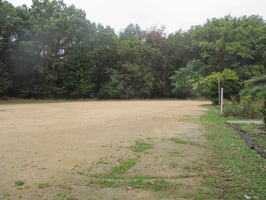 34613101