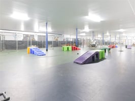 34620399