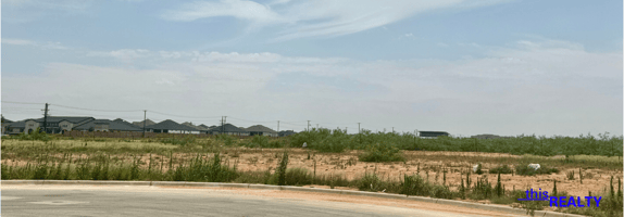 18264725