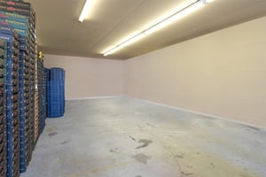 18698104