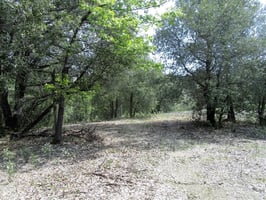 26450761