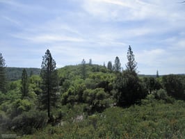 26450780