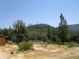 26450791