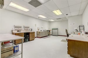 29685577