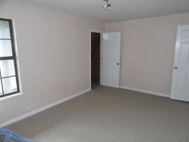 29687866