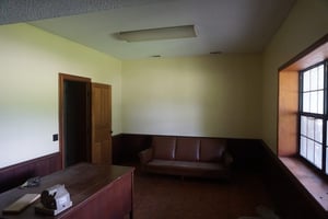 9295981