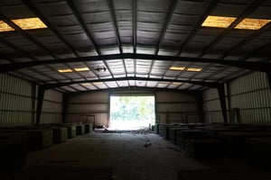 9295913