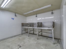 22059964