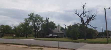 9503479