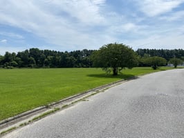 8271074