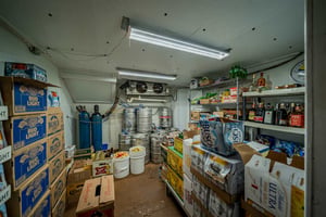 3394381