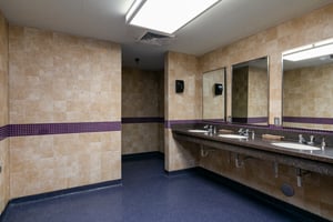 3543986