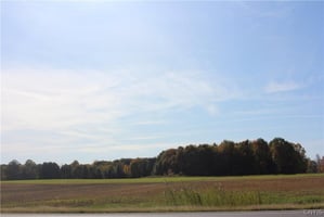 29214551