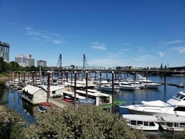 34165681