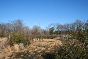 3903027