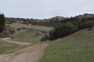 3964670