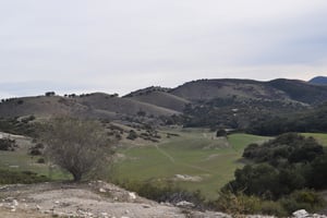3964668