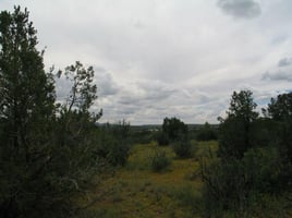 4315086
