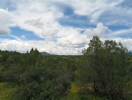 4315083
