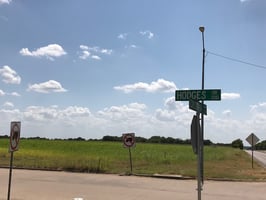4233519