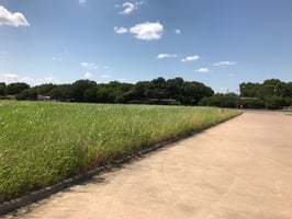 4233525