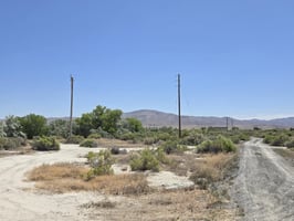 20049189
