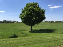 13803654