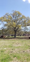 4382880