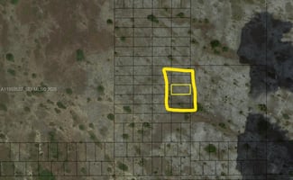 29341161