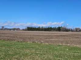 31666443