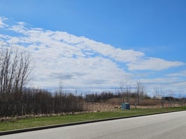 31666452