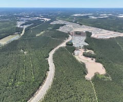 21816751