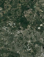 21816770