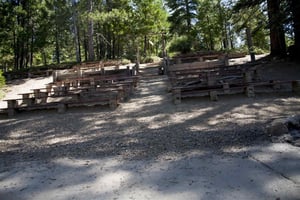 21557103