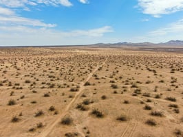 7768260