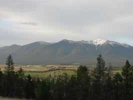 12680821
