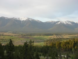 5040088