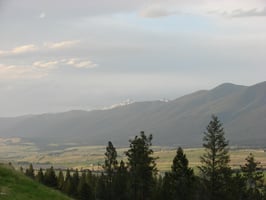 12680815