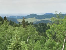 5263609