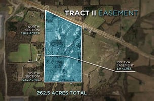 9981338