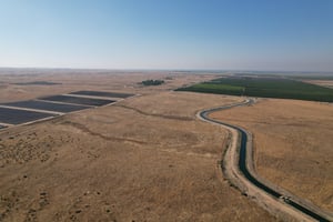 33149462