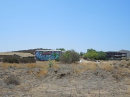 5393304