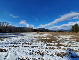 5395163