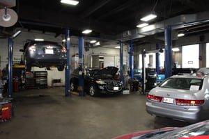5407019