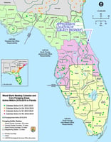 32780497