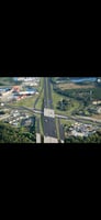 32780491