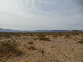 5467239