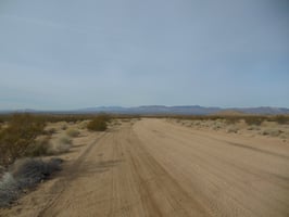 5467509