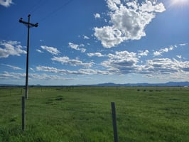 5486115